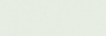 Vermont Green Light WT15VEM04 Плитка настенная 253*750*9,5